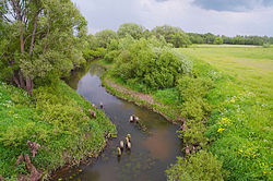 Река Шаха у села Елизарово