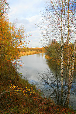 Река Пекша (осень)
