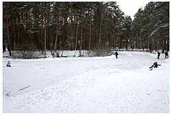 Zagoryanskiy Baranka Winter.jpg