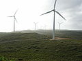 Albany Wind Farm, Western Australia.jpg