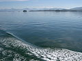 Hecate Strait, BC -f.jpg