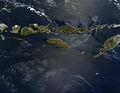 Малые Зондские острова со спутника
