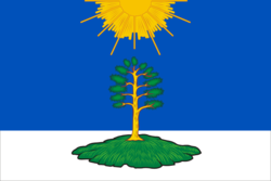 Flag of Solnechny (Tver oblast).png