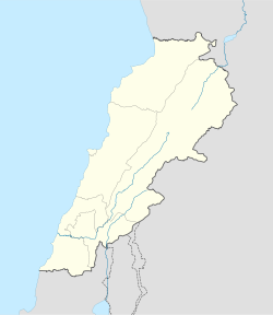 Набатия (город) (Ливан)