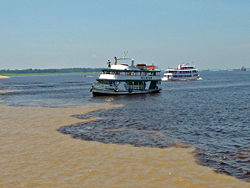 Место слияния рек Риу-Негру и Солимойнс заметно по резко различающемуся цвету воды