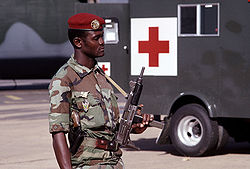 Niger soldier-89-07307.JPEG
