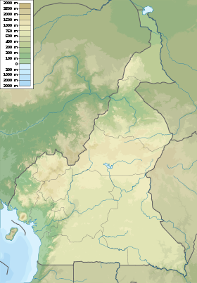 Оку (озеро) (Камерун)