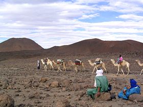Караван верблюдов в Ахаггар