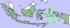 Молуккские острова показаны светлозелёным