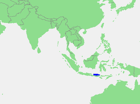 Расположение моря Бали (выделено синим)
