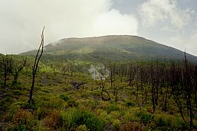Активность вулкана в 2004 г.