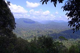 Вид на гору Гунунг-Тахан с холма Тересек.