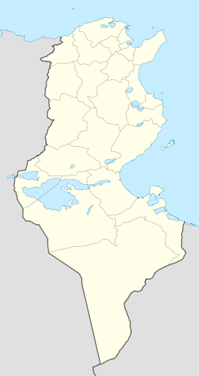 Шотт-эль-Джерид (Тунис)