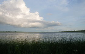 Вид на озеро с правого берега Березины