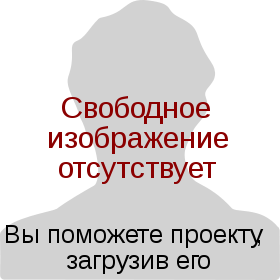 Михаил Ильич Бондаренко