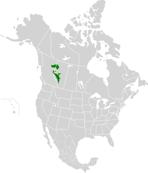 Alberta-British Columbia foothills forests map.svg