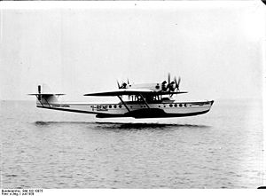 Bundesarchiv Bild 102-10075, Flugboot Dornier Do R 4 Superwal.jpg