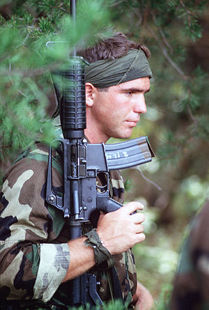 Colt Commando and SEAL.JPEG