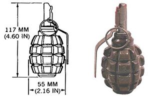 F1 grenade DoD.jpg
