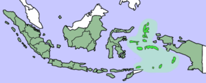 Молуккские острова выделены светло-зелёным