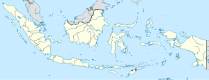 Таракан (город) (Индонезия)
