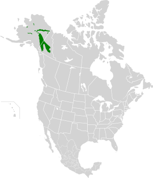 Interior Yukon-Alaska alpine tundra map.svg