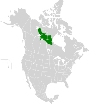 Northern Canadian Shield taiga map.svg
