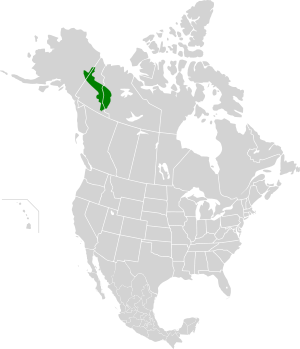 Ogilvie-MacKenzie alpine tundra map.svg