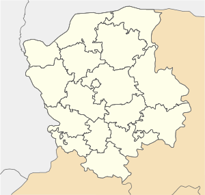 Бруховичи (Волынская область)