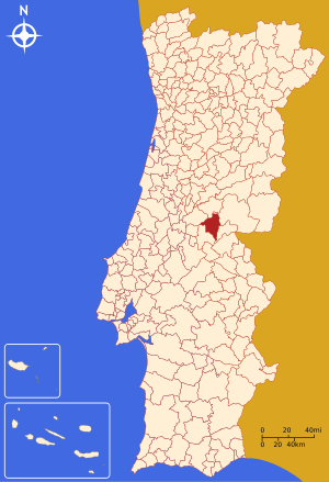 Пруэнса-а-Нова (Португалия)