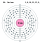 Electron shell 096 Curium.svg