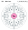 Electron shell 102 Nobelium.svg