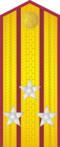 Ussr-army-1943-colonel.PNG