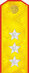 Ussr-army-1943-colonel general.PNG