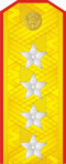 Ussr-army-1943-general of army.PNG