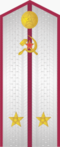 Ussr-army-1943-lieutenant.PNG