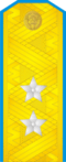 Ussr-army-1943-lieutenant general.PNG
